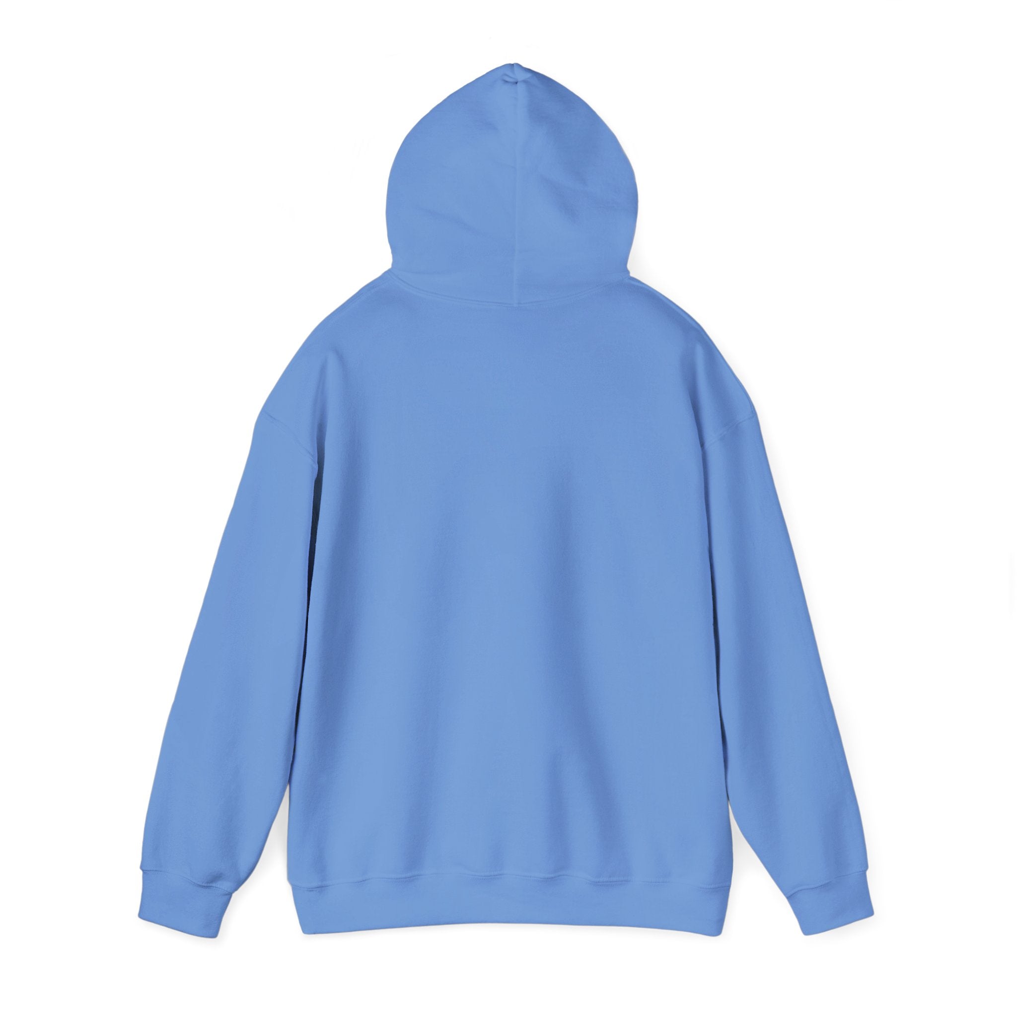 Fun Vibe Colorful Hoodie